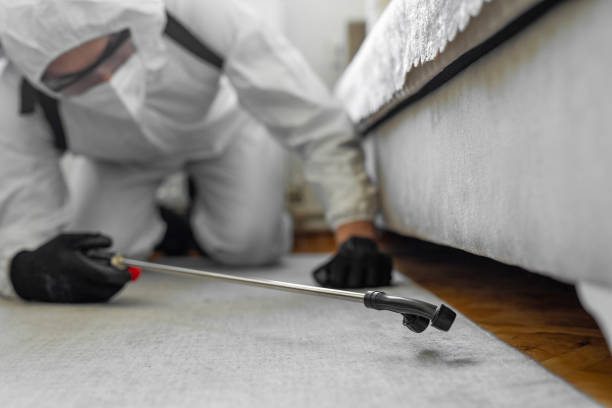 Professional Bed Bug Control technician working in Big Rock, IL