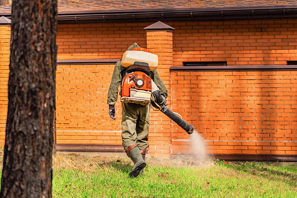 Trusted Cockroach Control service in Big Rock, IL - Nex Pest Control